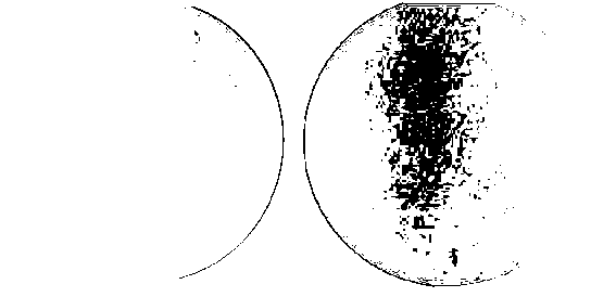 Manufacturing method of large-size C-oriented sapphire crystals