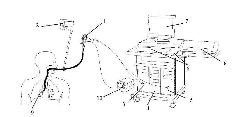 Three-dimensional electronic bronchoscope system and use method thereof