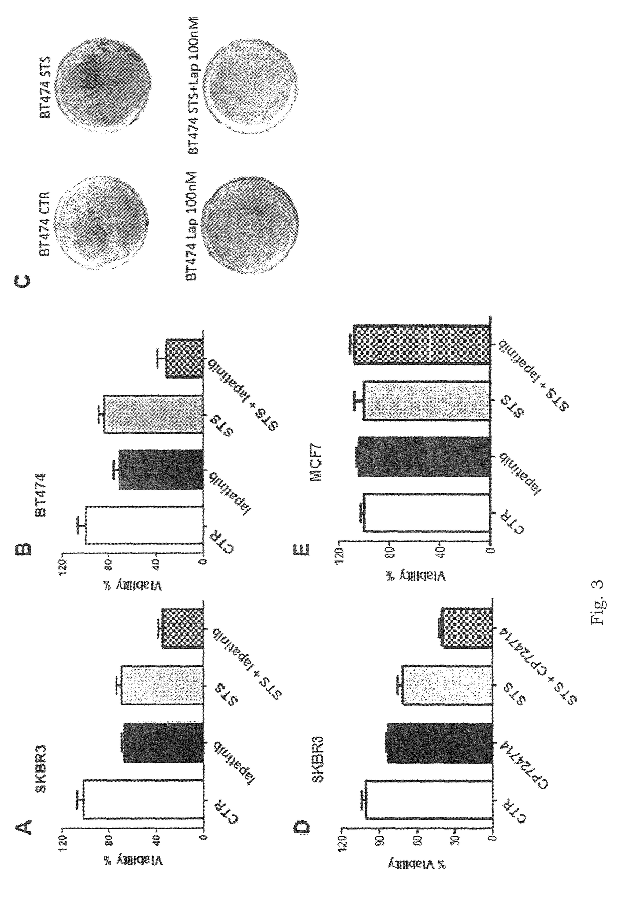 Tyrosine kinase inhibitors for use in a method of treating cancer in association with a reduced caloric intake