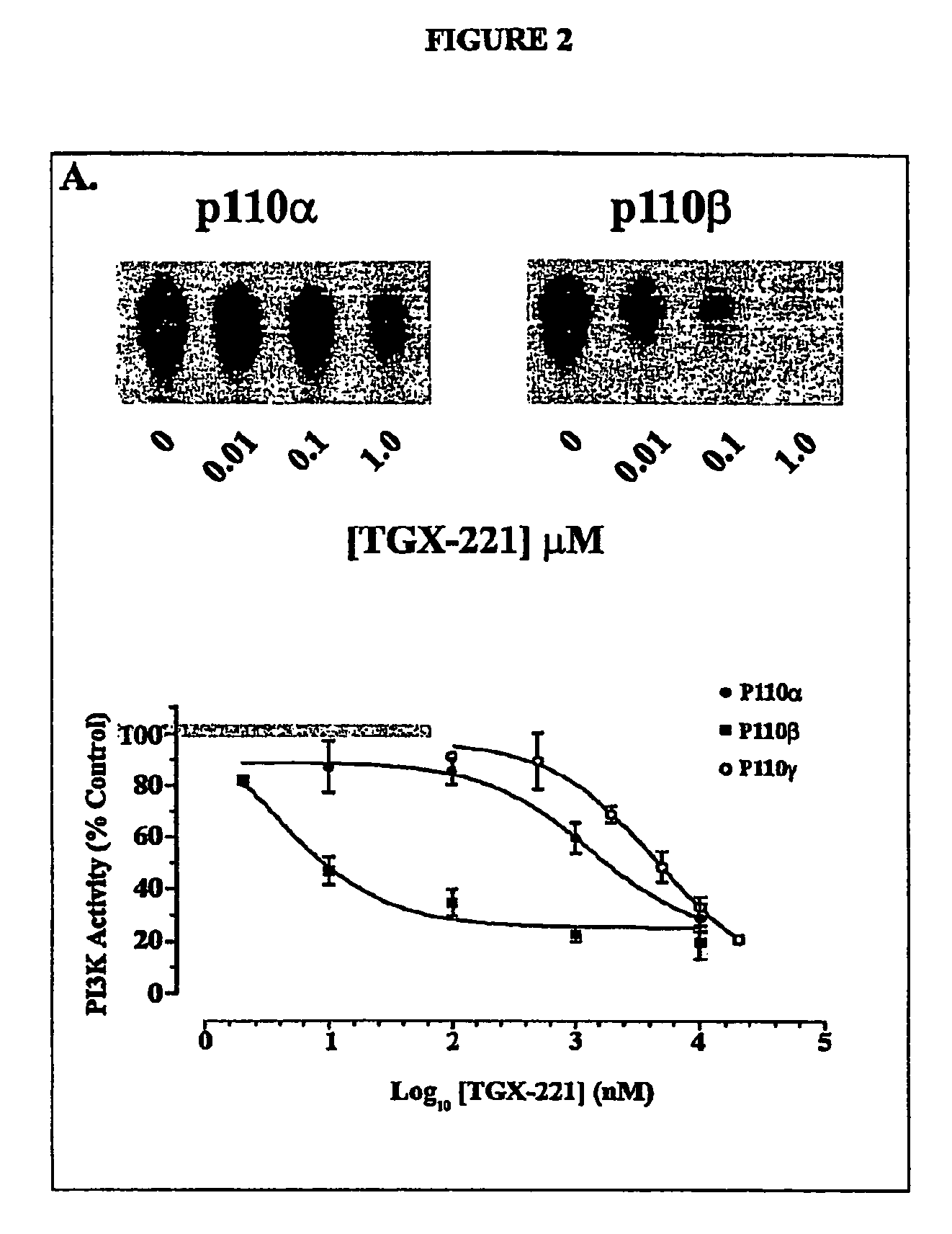 Inhibition of phosphoinositide 3-kinase beta