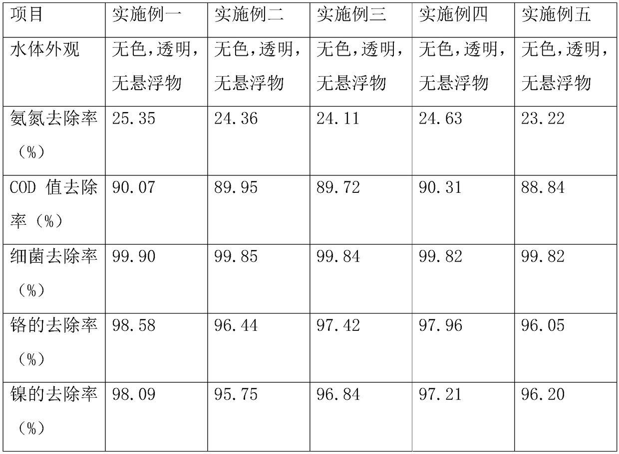 Sewage treatment agent and preparation method thereof