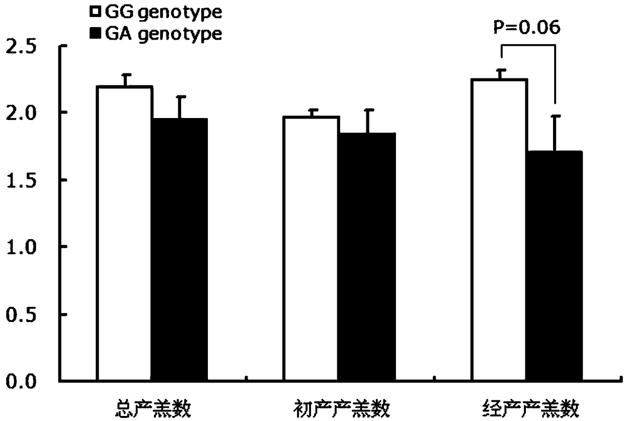 A gene mutation site for eliminating low-fertility Hu sheep and application thereof