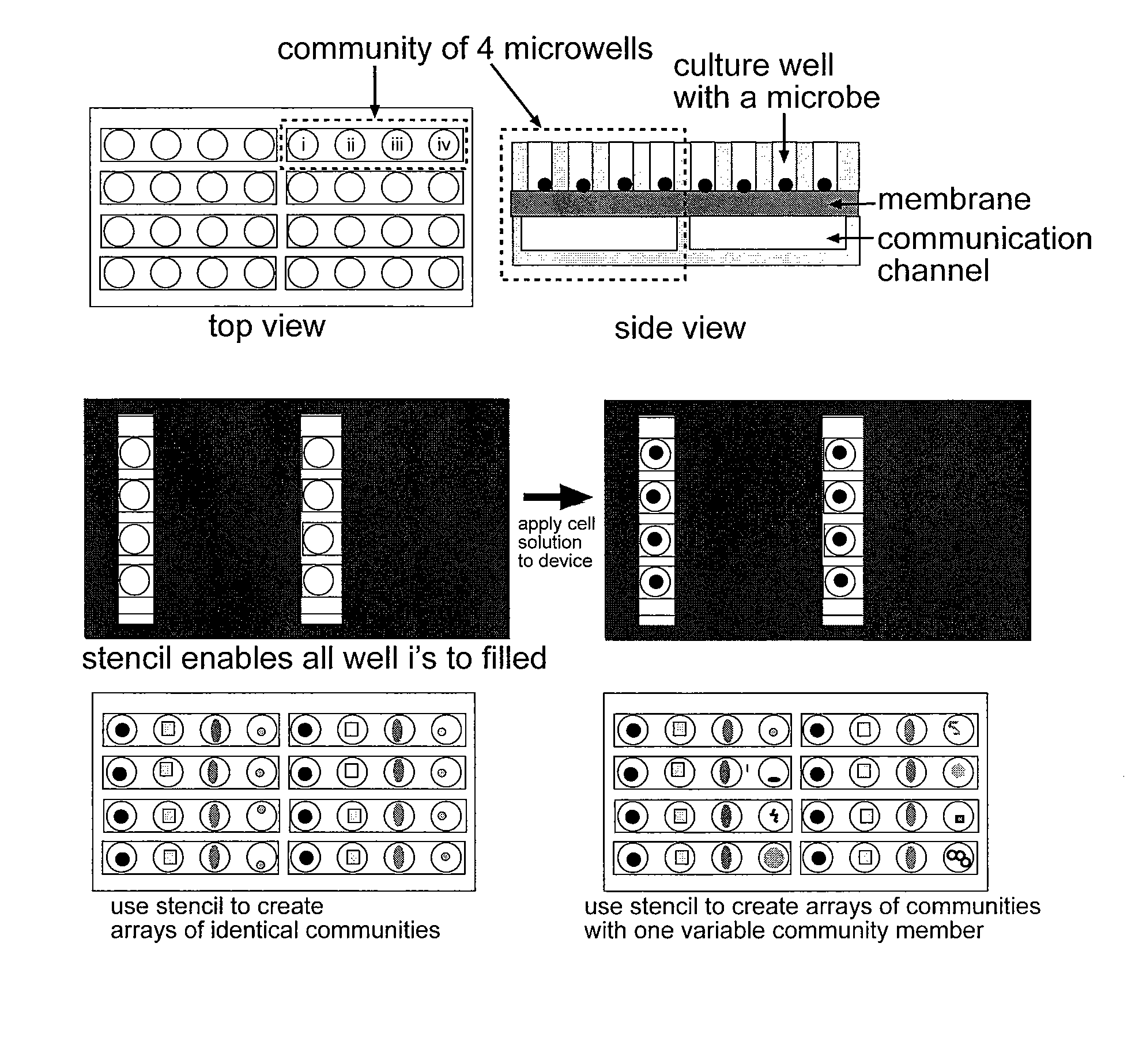 Co-incubating confined microbial communities