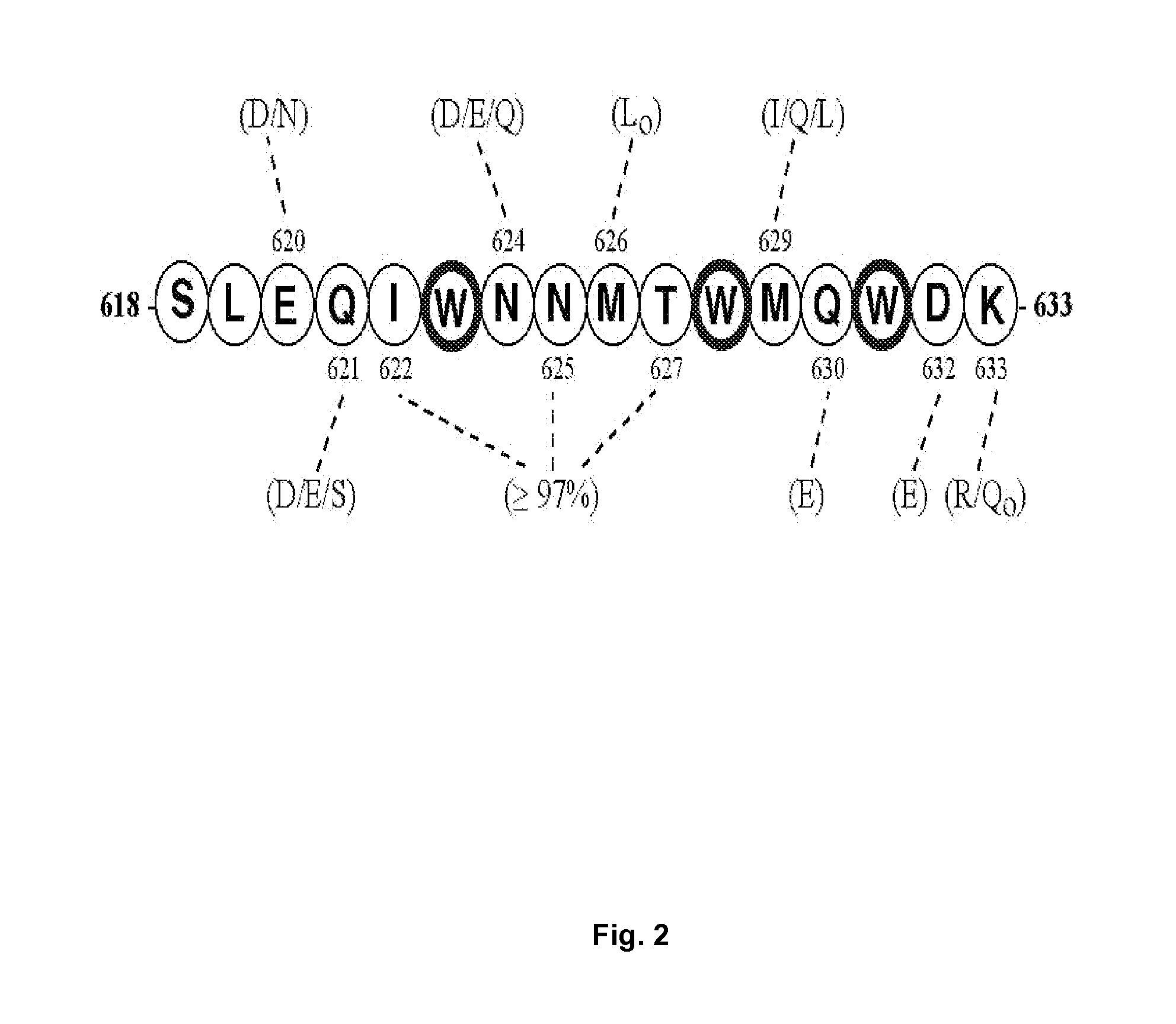 Synthetic peptides corresponding to overlapping neutralizing determinants in the cbd1 epitope induce broadly neutralizing antibodies