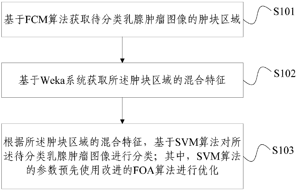 Method and system for classifying breast tumor images