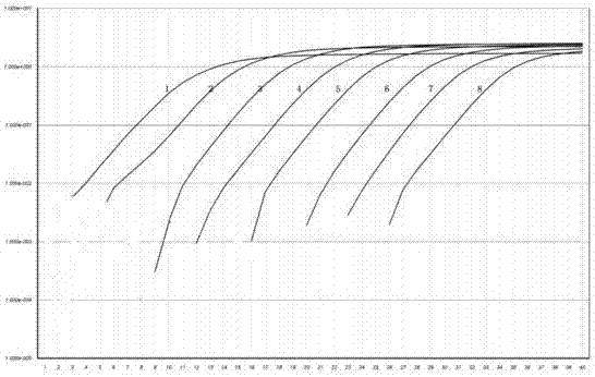 Real-time fluorescent quantitative PCR primer, kit and detection method for detecting porcine circovirus 3