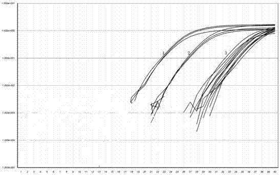 Real-time fluorescent quantitative PCR primer, kit and detection method for detecting porcine circovirus 3