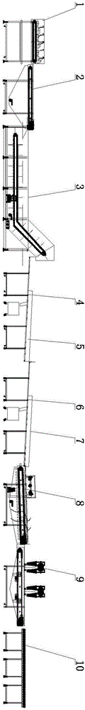 Salmon automatic processing line and automatic processing method