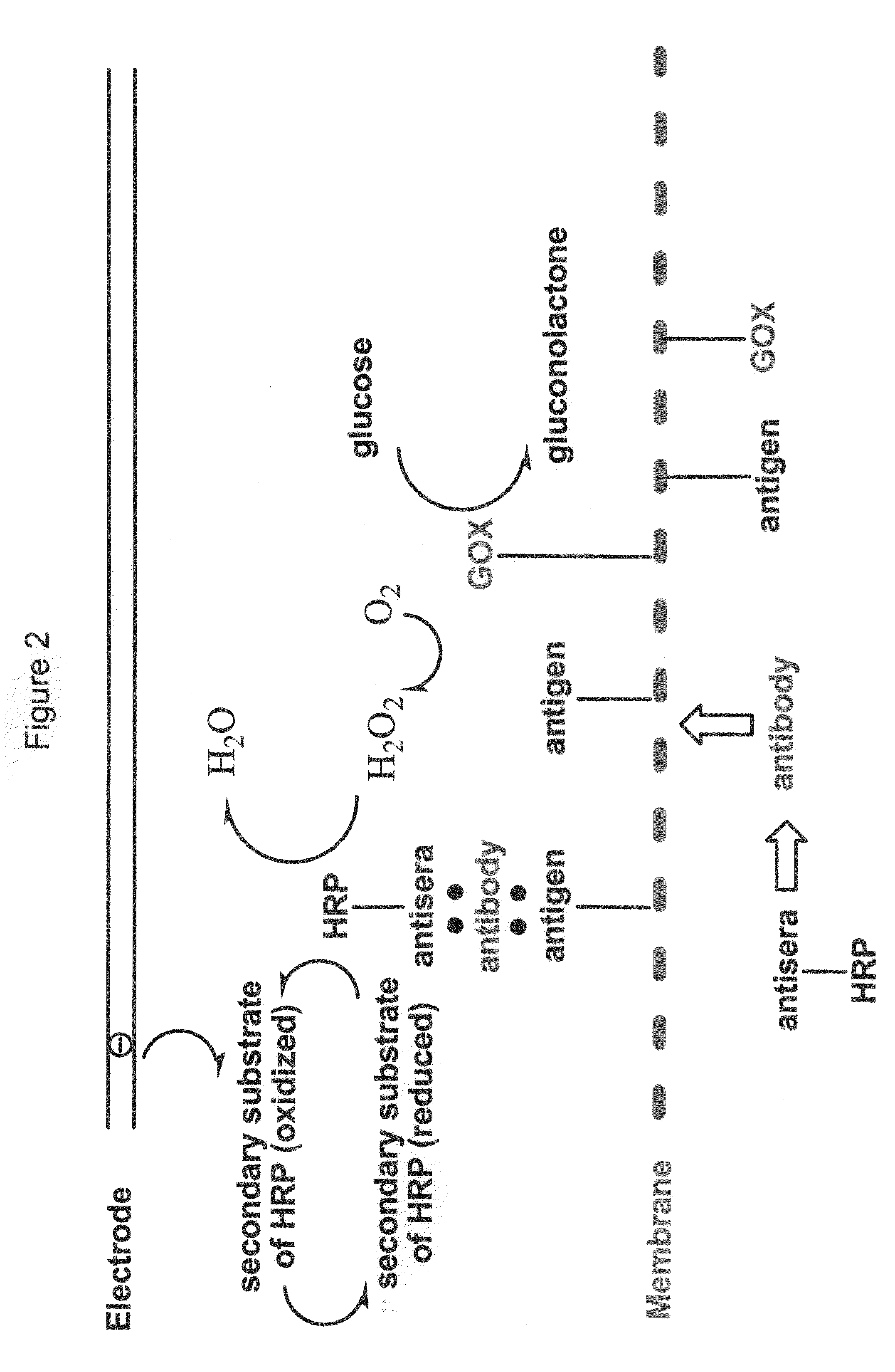 Enzyme-Channeling Based Electrochemical Biosensors