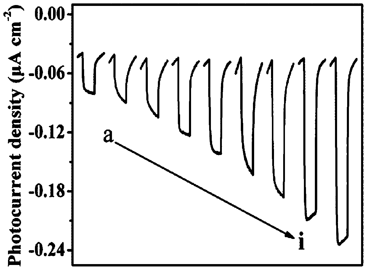 Signal-enhanced polymer functionalized rutile phase titanium dioxide mesocrystal based zearalenone detection method