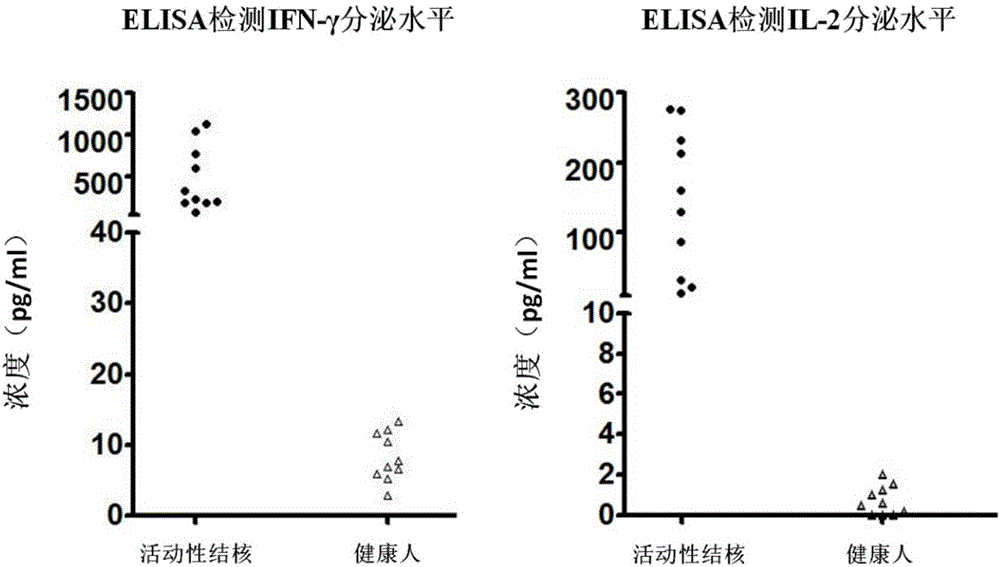 In-vitro abortive phthisic test method