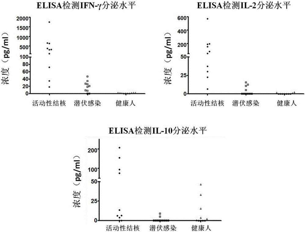 In-vitro abortive phthisic test method