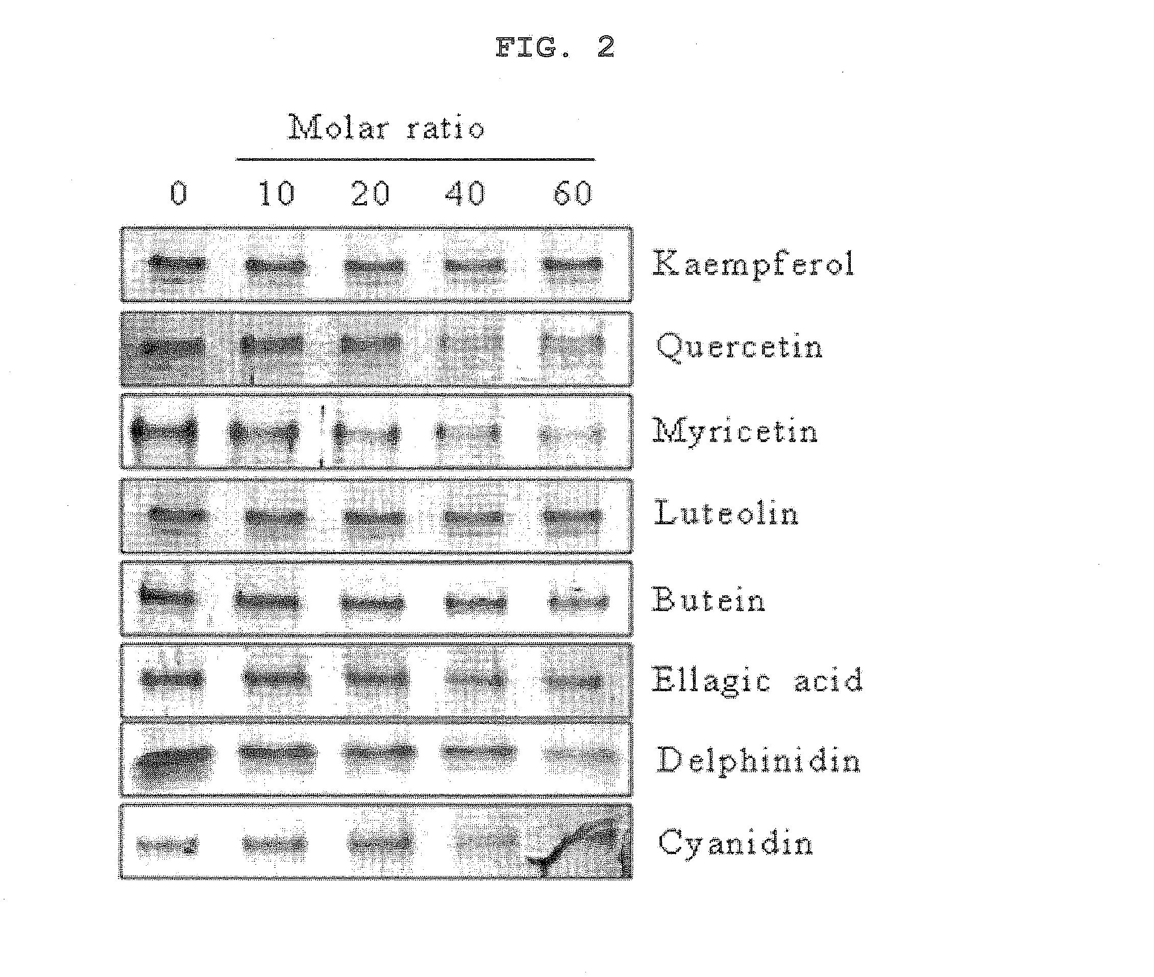 Polyphenol compounds with modulating neurotransmitter release