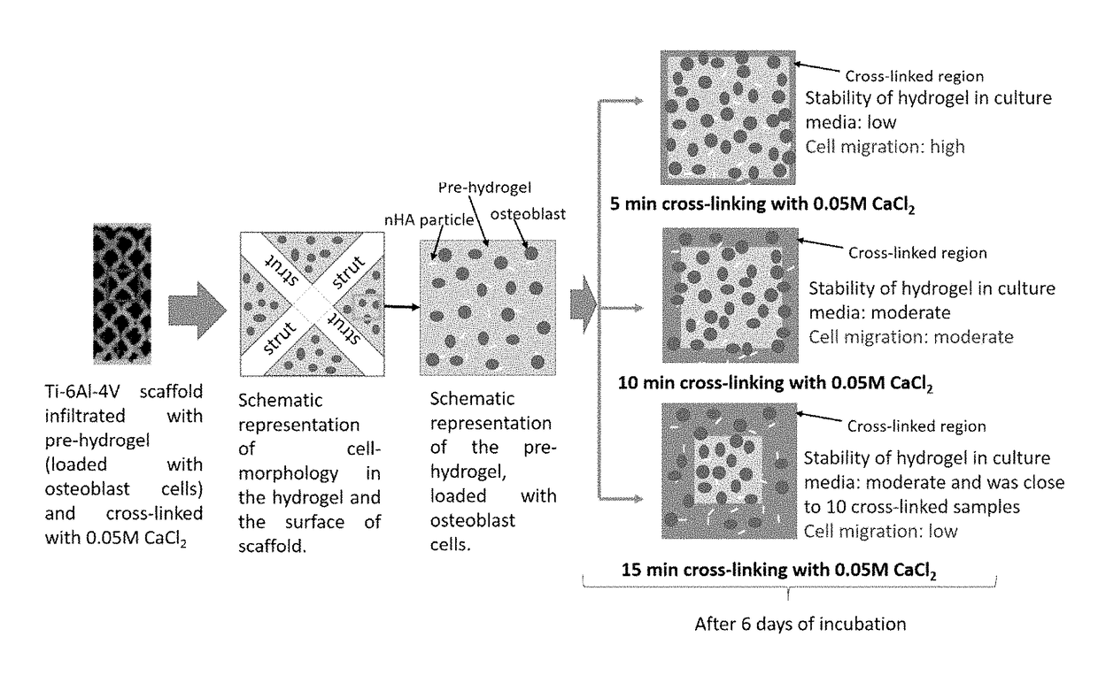 3D Printed Ti-6Al-4V Scaffolds with Hydrogel Matrix