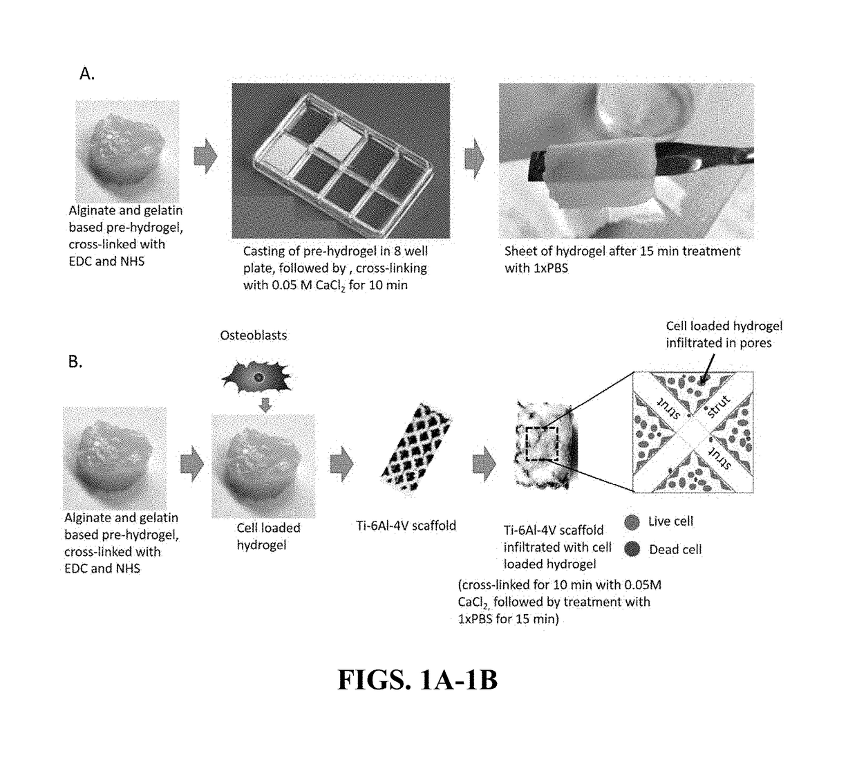 3D Printed Ti-6Al-4V Scaffolds with Hydrogel Matrix