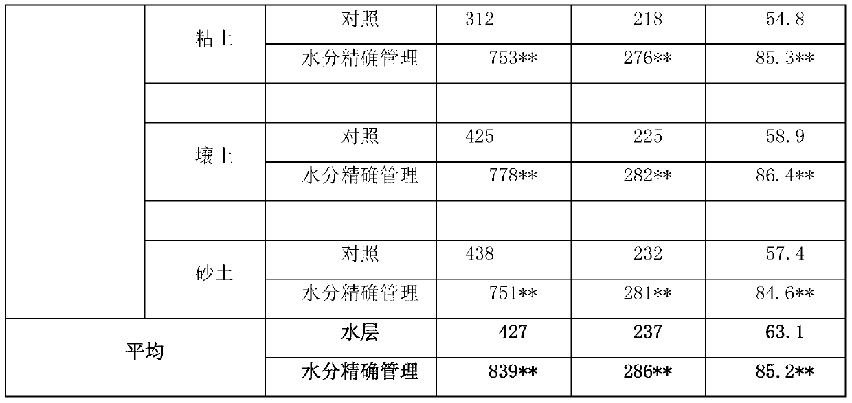 Precise management method of moisture in tillering stage of rice plant after wheat straws are returned to field