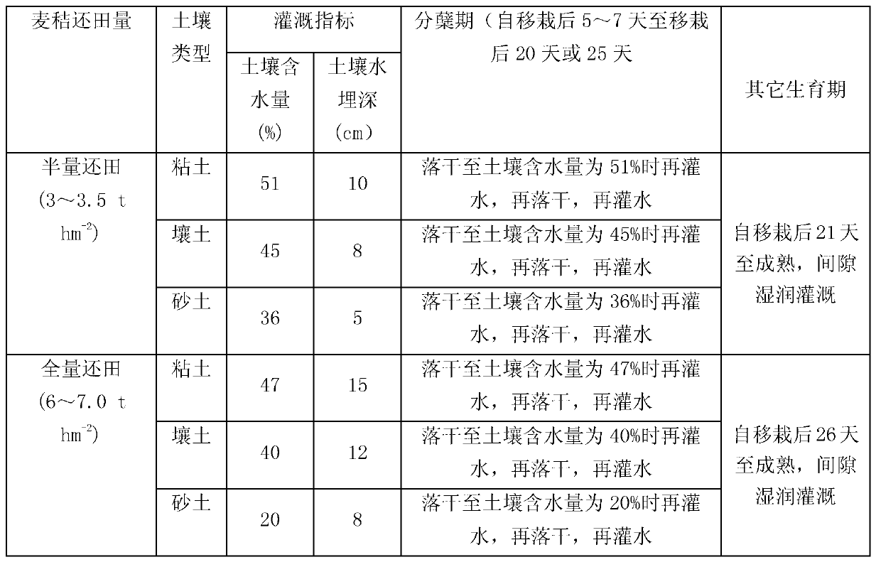 Precise management method of moisture in tillering stage of rice plant after wheat straws are returned to field