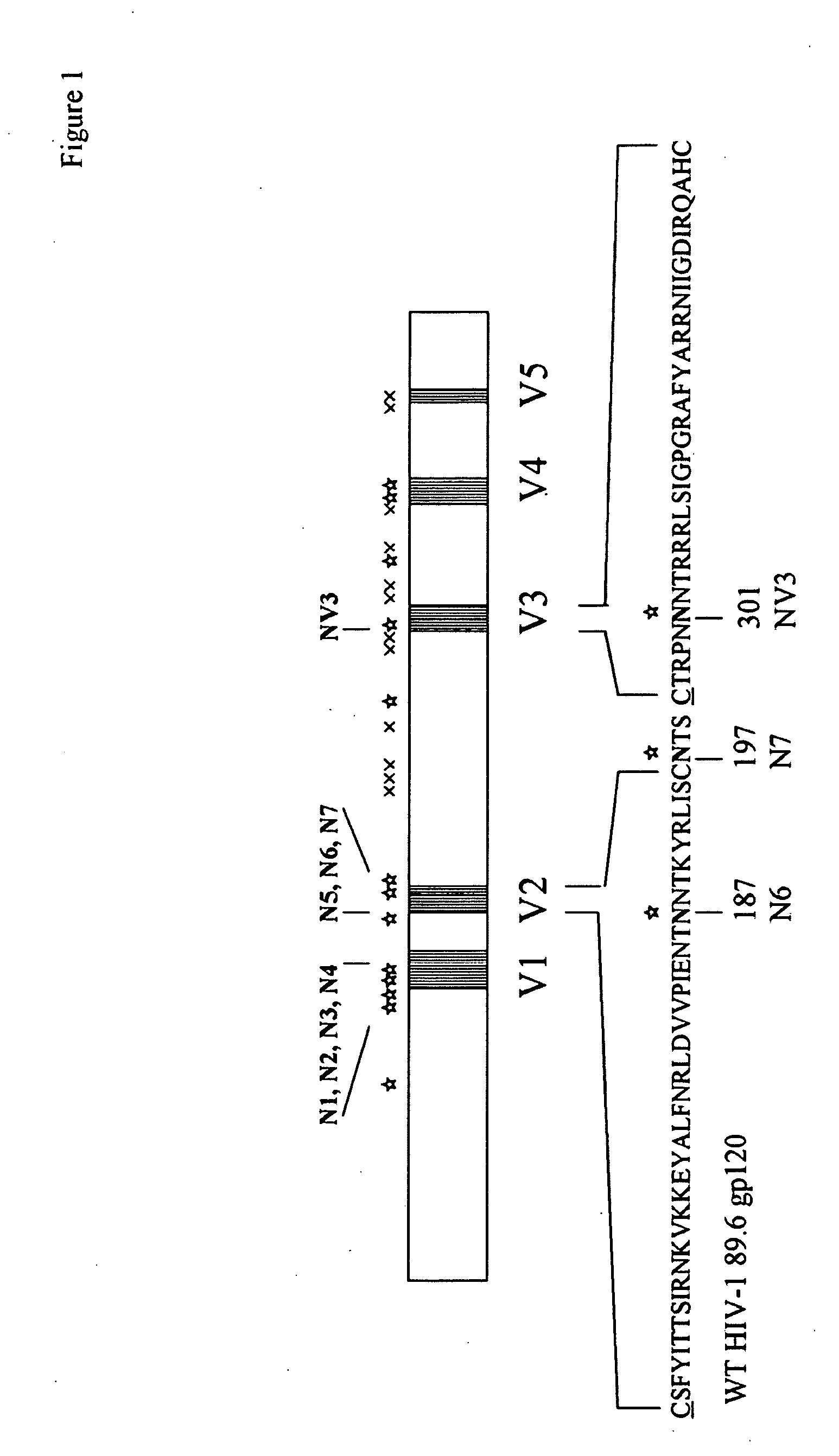 HIV vaccine