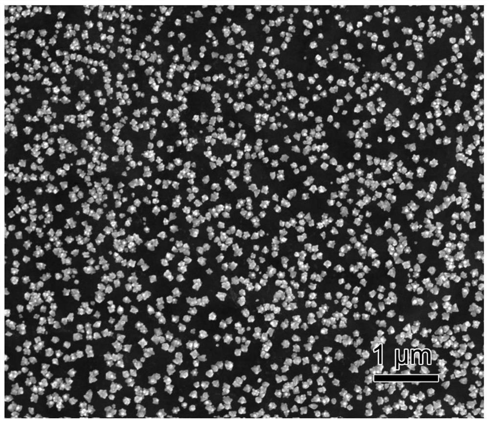 A kind of preparation method of surface enhanced Raman test paper