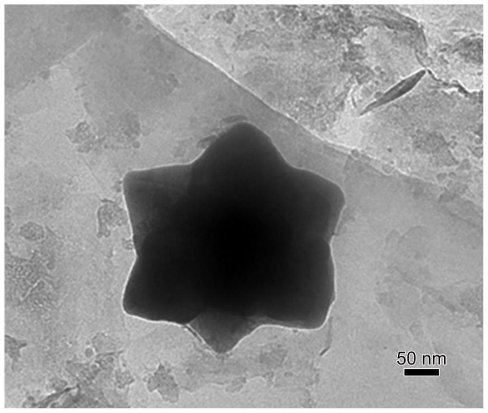 A kind of preparation method of surface enhanced Raman test paper