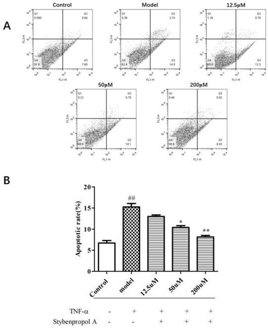 Compound stybenpropol A and its application in preventing and treating atherosclerosis