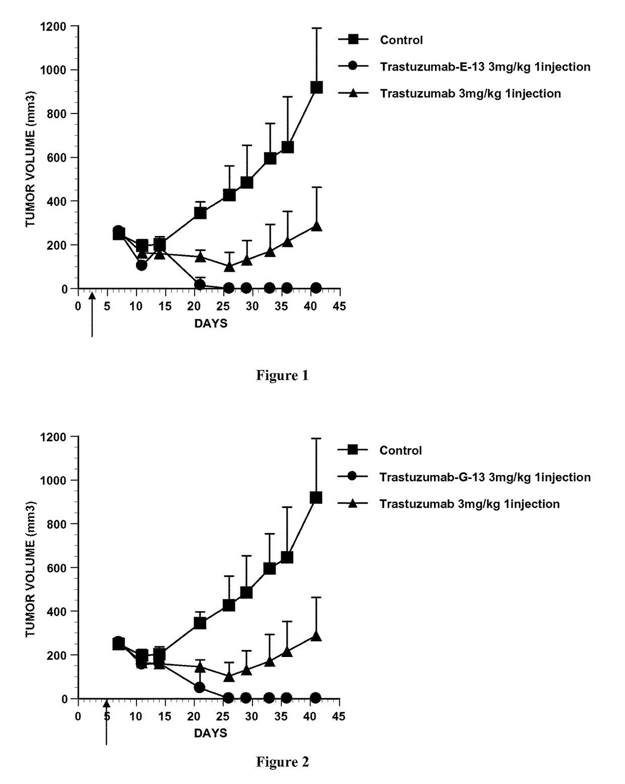 Conjugate of monomethyl auristatin F and trastuzumab and its use for the treatment of cancer