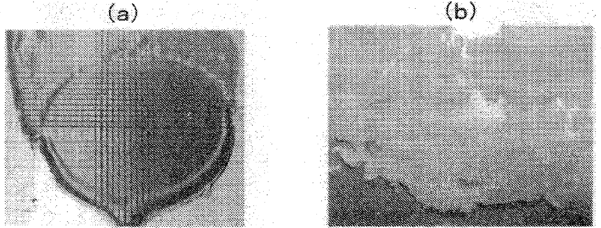 Resin composition and cosmetic containing said resin composition