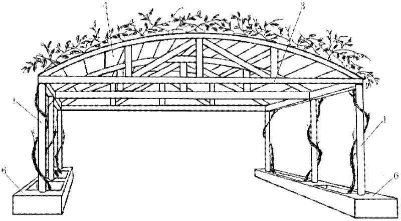 Awning and rain-sheltering shed with climbing plants and building method thereof