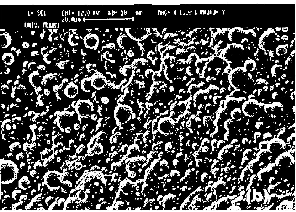 Enzyme preparation for removing pesticide residual on surfaces of vegetables and fruits and preparation method thereof