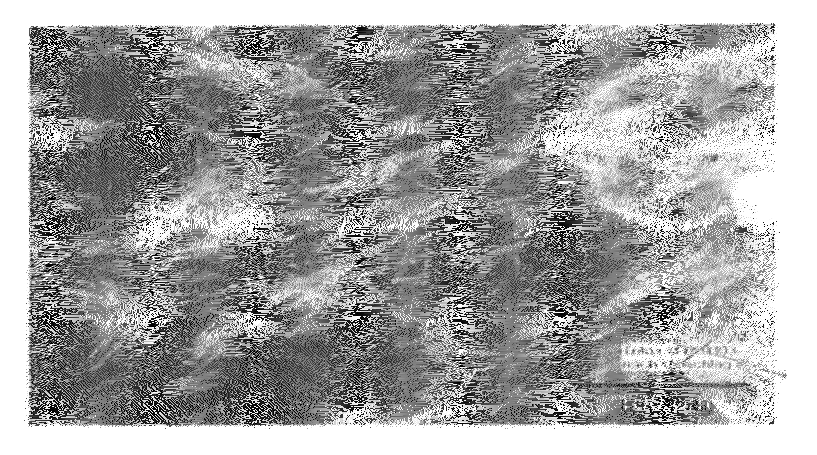 Process for the preparation of a crystalline l-mgda trialkali metal salt