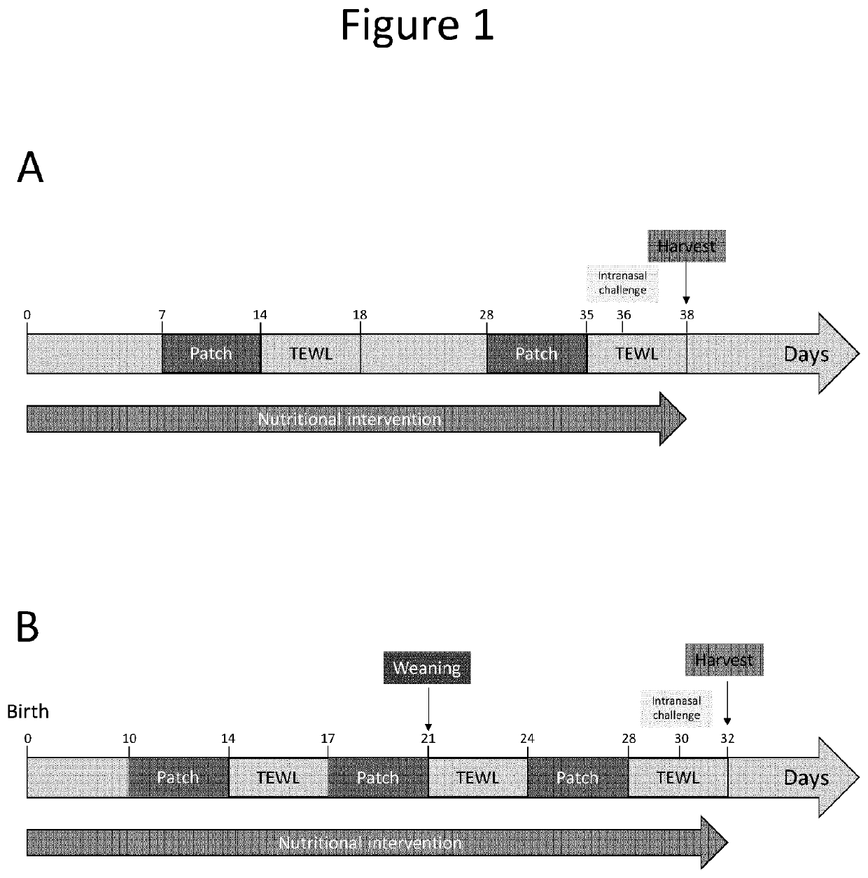 Composition for preventing or reducing transepidermal water loss and improving skin barrier function