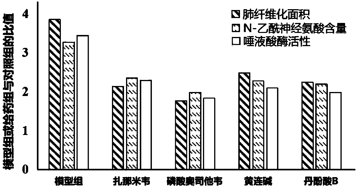 Application of neuraminidase and inhibitor in preparing medicine for treating pulmonary fibrosis and renal fibrosis