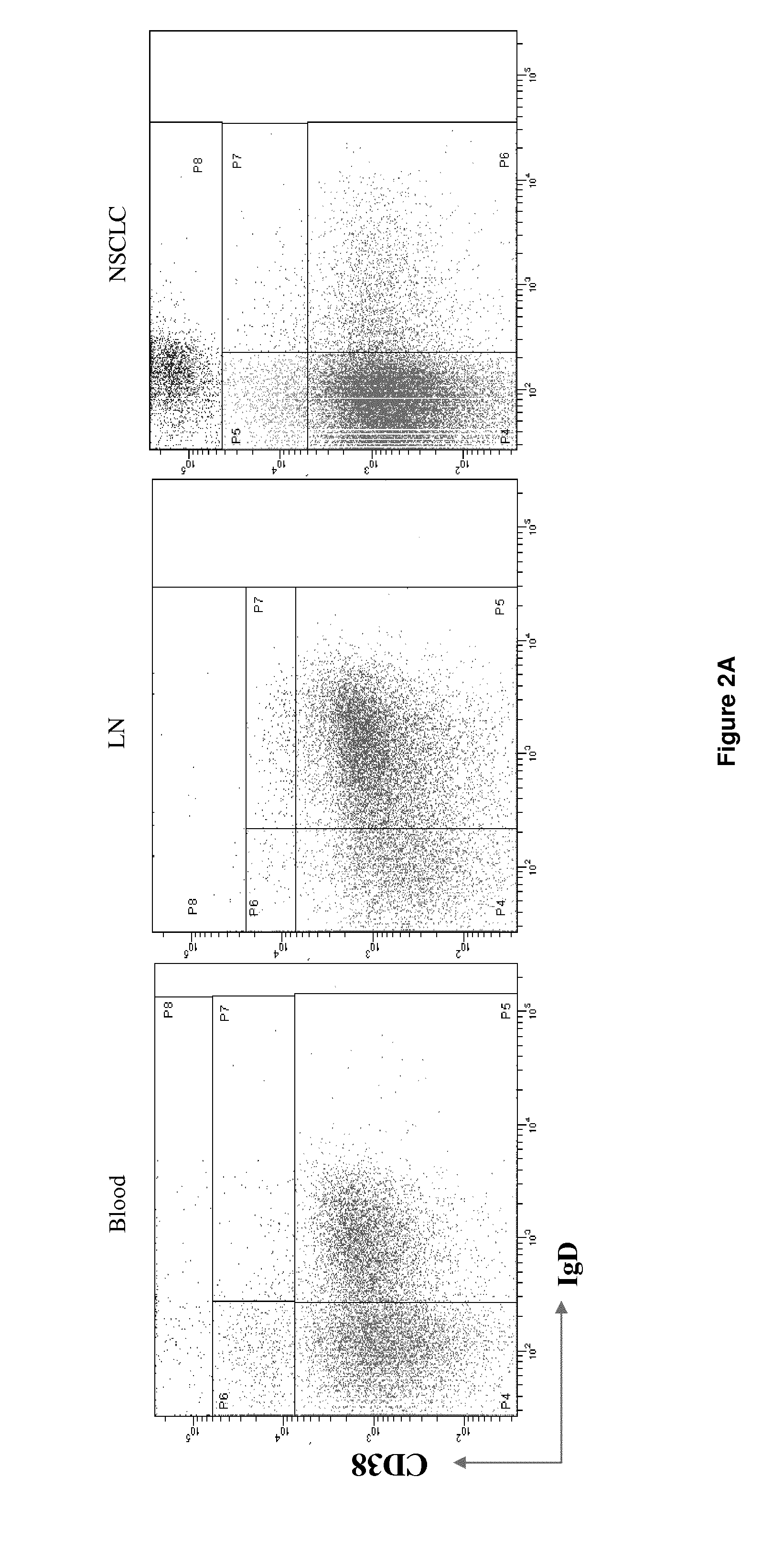 Method for the prognosis of survival time of a patient suffering from a solid cancer