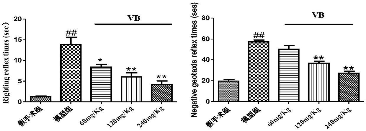 Application of verbascoside in preparing medicine for treating hypoxic and ischemic encephalopathy