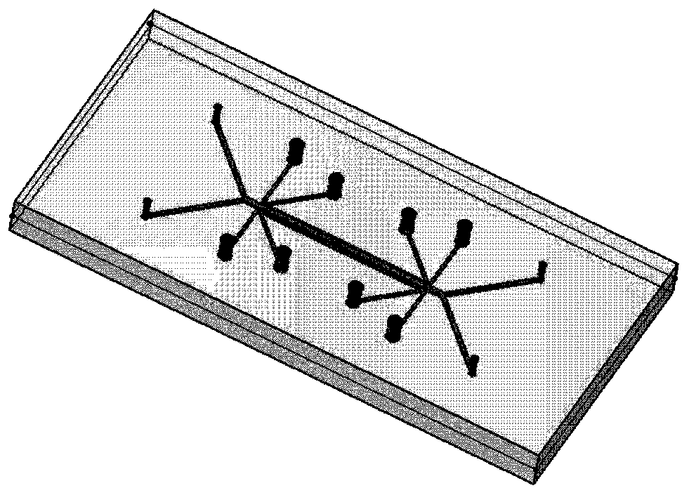 Microfluidic alveolar chip based on chemical modification