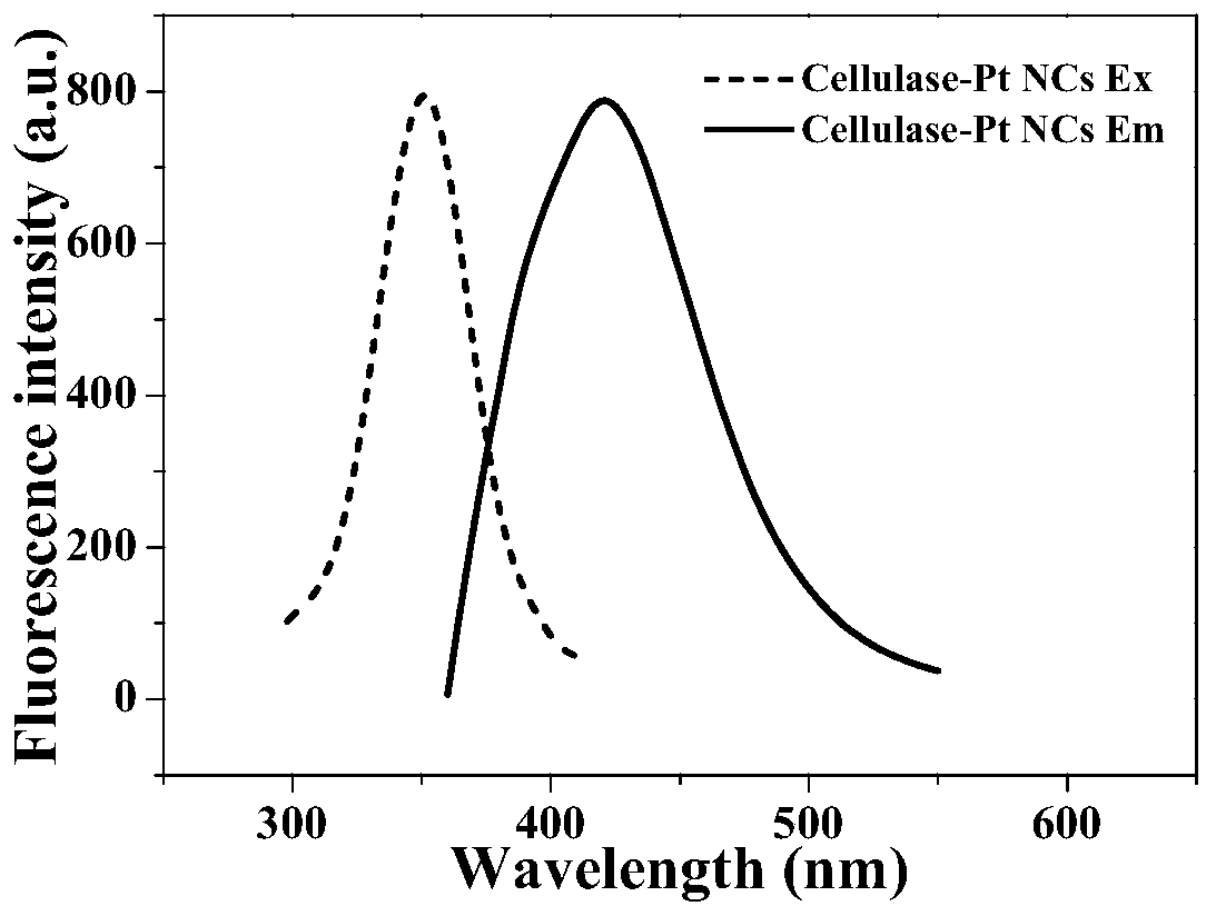 Fluorescent cellulase platinum nano-cluster and preparation method and application thereof