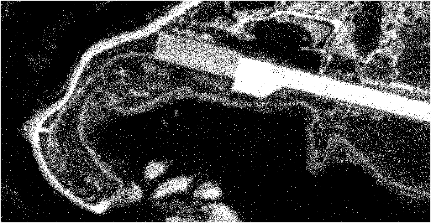 High resolution remote sensing image segmentation method based on Gram-Schmidt fusion and locally excitatory globally inhibitory oscillator networks (LEGION)