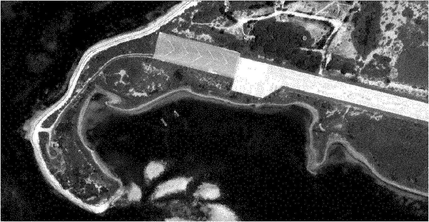 High resolution remote sensing image segmentation method based on Gram-Schmidt fusion and locally excitatory globally inhibitory oscillator networks (LEGION)