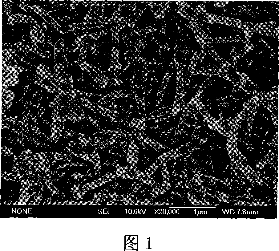 Method for preparing polyaniline conductive composite film by in-situ polymerization