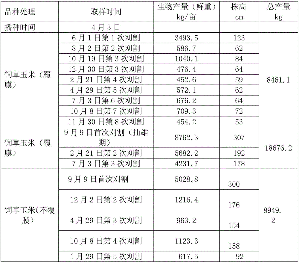 Method for cultivating forage maize