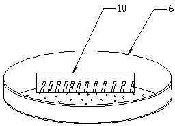 Black tea withering-fermenting all-in-one machine and black tea preparation method