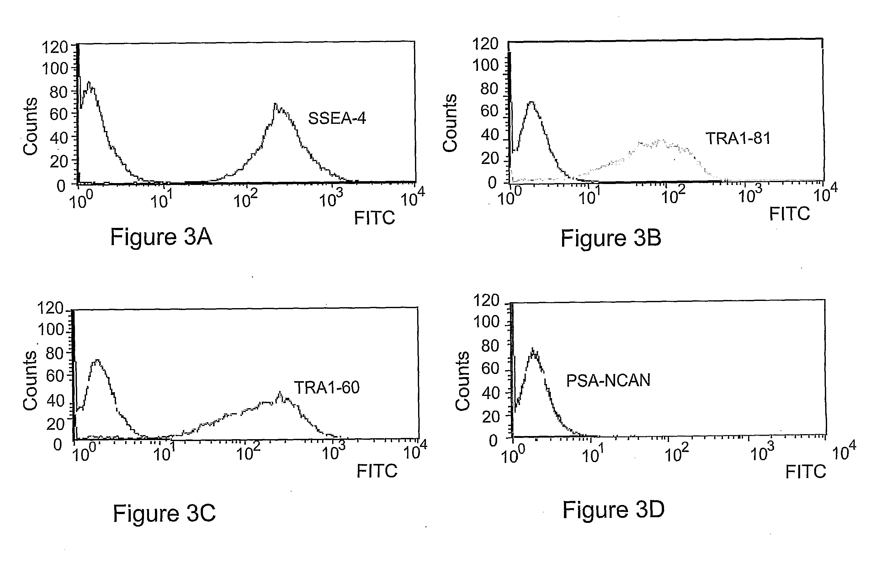 Undifferentiated Stem Cell Culture Systems