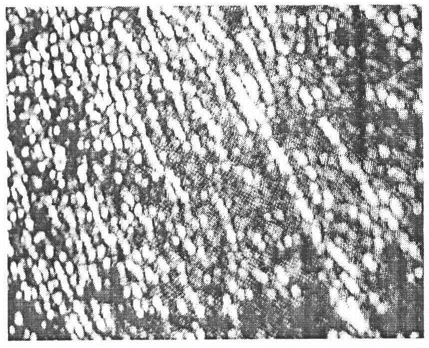 Nanometer chitosan composite diaphragm of lithium battery and manufacturing method of nanometer chitosan composite diaphragm