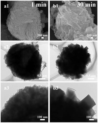 Organic polymer keeping morphology of metal-organic frameworks (MOFs), and preparation method and application of organic polymer