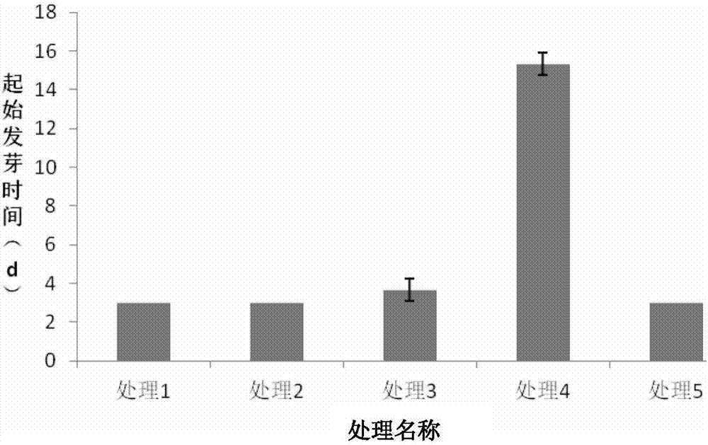 Method for accelerating germination of verbena hybrida seeds