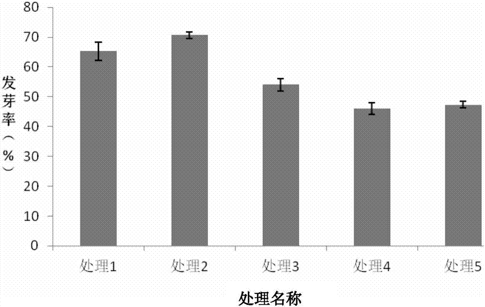 Method for accelerating germination of verbena hybrida seeds