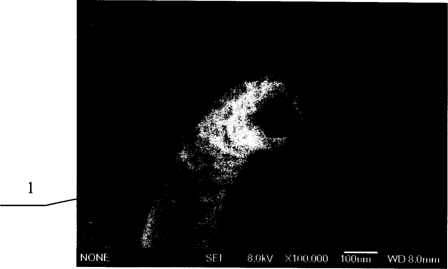 Method for preparing nano metal pipe by template chemical plating process