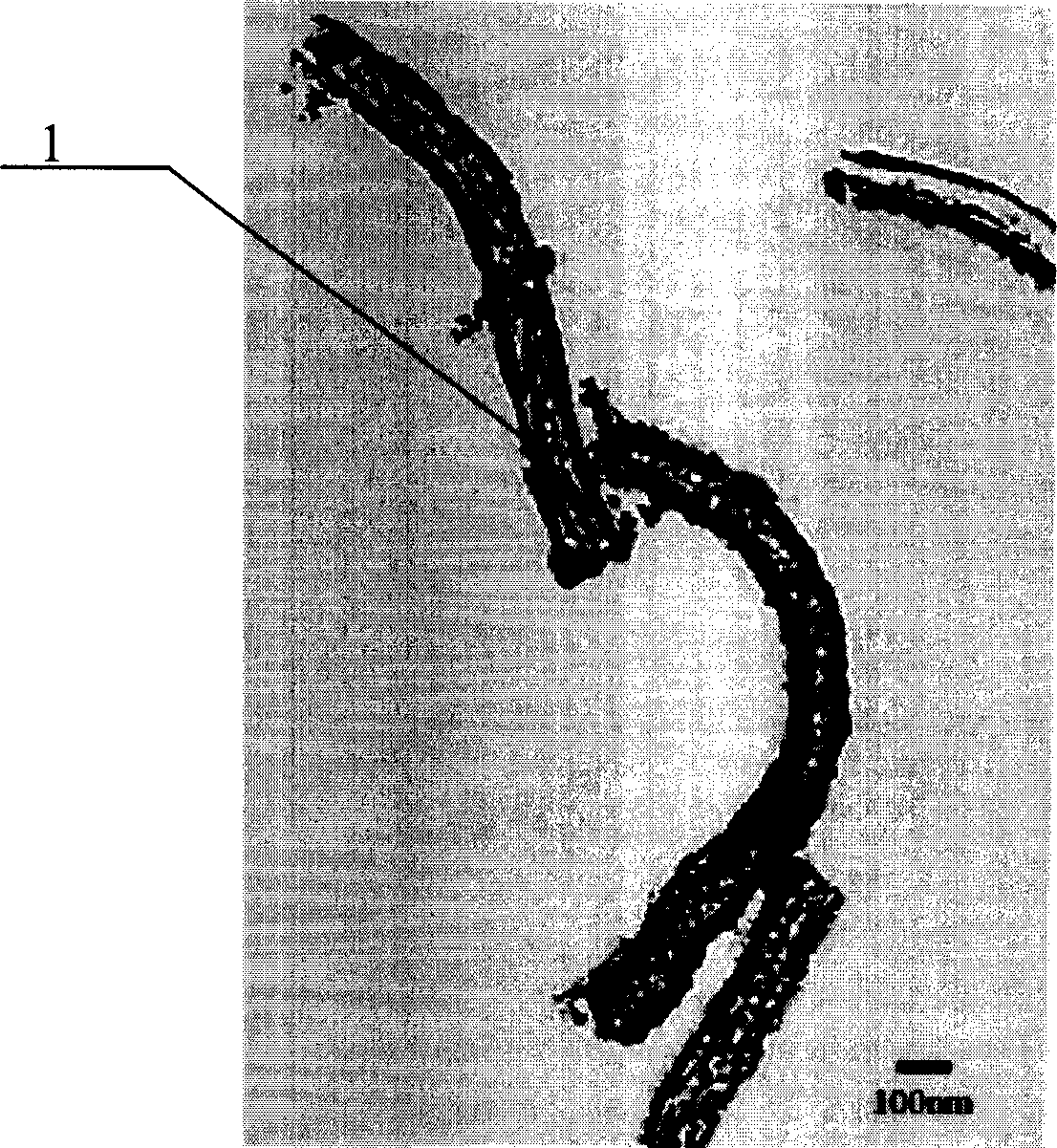 Method for preparing nano metal pipe by template chemical plating process