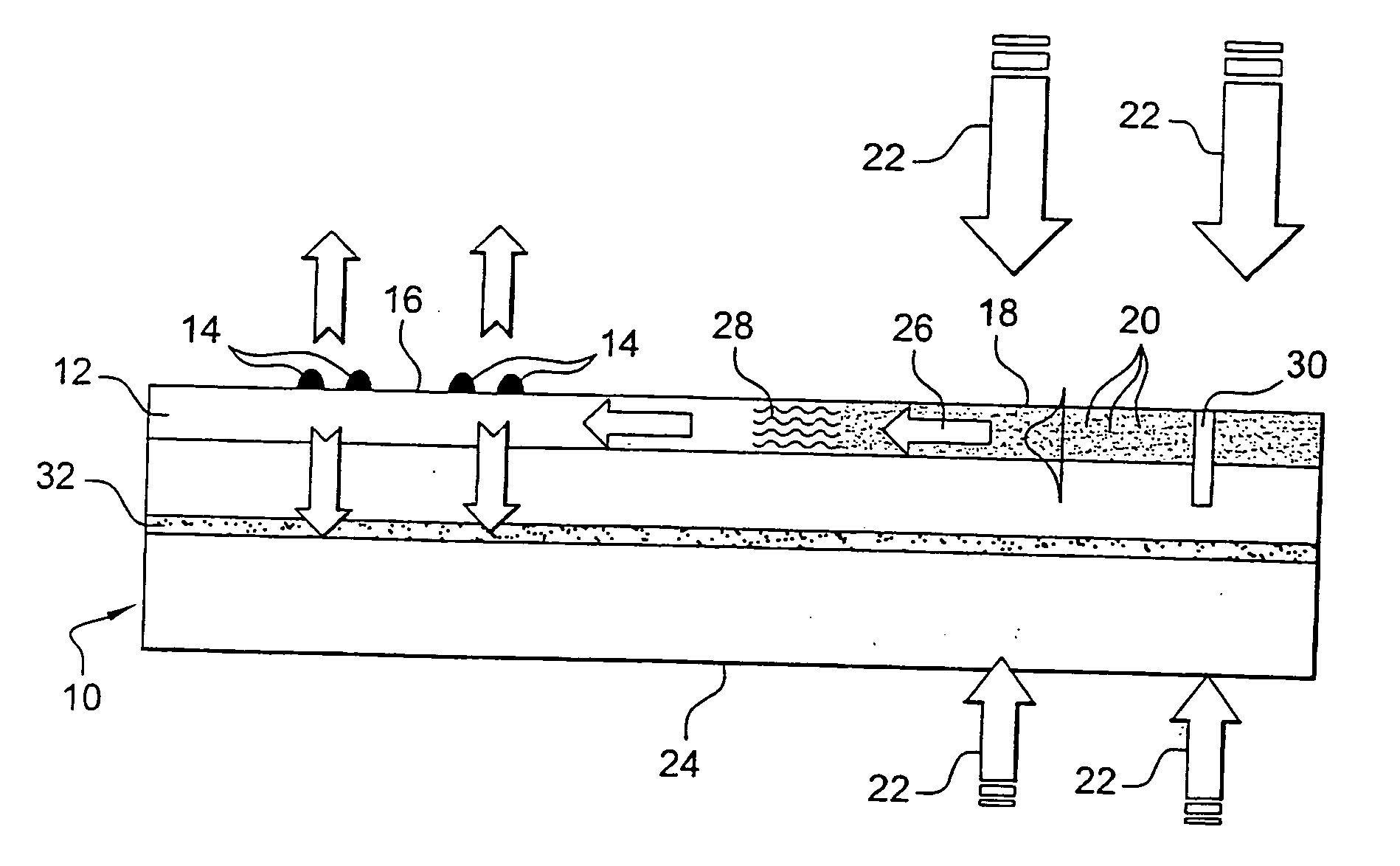 Device for supporting chromophore elements