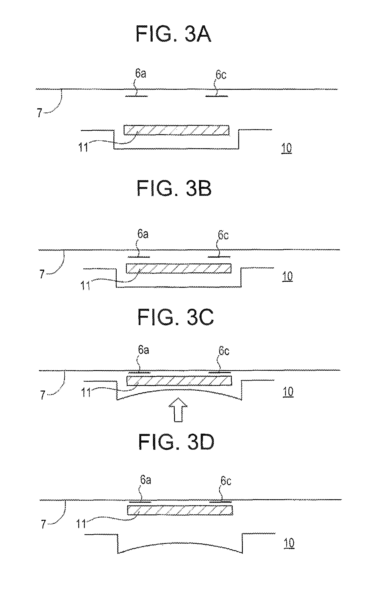 System for the transdermal delivery of active ingredient